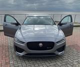 Jaguar XE P250 R-DYNAMIC Automatik - Jaguar XE P250 Gebrauchtwagen
