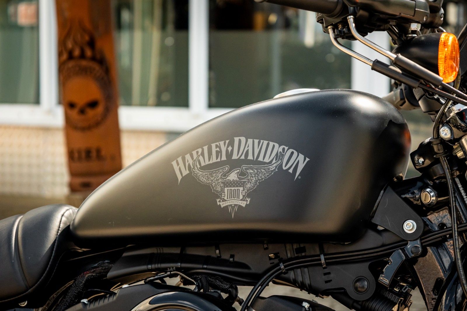 Fahrzeugabbildung Harley-Davidson XL883N Iron 883 - Vance & Hines