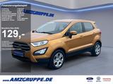 Ford EcoSport 1.0 EB Trend PDC+Winterpak+Klimaautom+B - Ford EcoSport: Trend