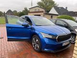 Skoda Enyaq 85 - - Skoda Enyaq 85 Gebrauchtwagen