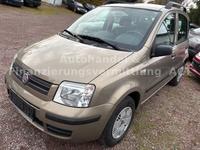 Fiat New Panda 1.2 8V  Dynamic *KLIMA*KEIN ROST*