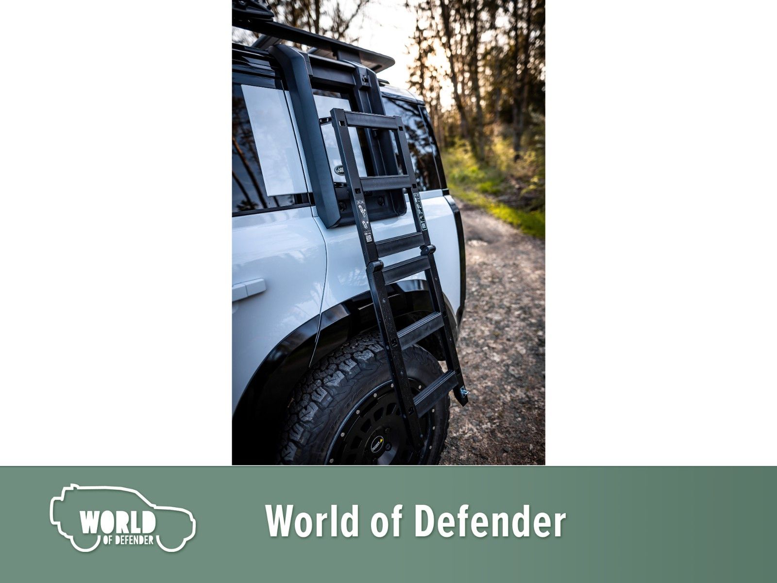Fahrzeugabbildung Land Rover Defender 110 D250 X-Dynamic SE Rough Edition