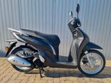 Honda SH 125 Mode *TZ 07/2026* 16x alle Farben - Angebote