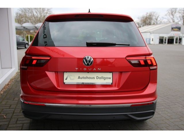 Tiguan Active 2.0 TDI 110kW DSG LED/Winterp./uvm