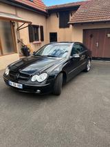 Mercedes-Benz CLK 270 CDI AVANTGARDE Avantgarde - Mercedes-Benz CLK 270: Cdi