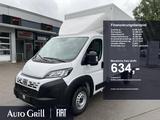 Fiat Ducato Maxi 35 L4 Kofferaufbau Hecktüren RüKa - Motorradanhänger