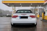 Audi A5 2.0 TFSI S tronic quattro Cabriolet -Sline - Audi A5 aus 2010: Cabrio