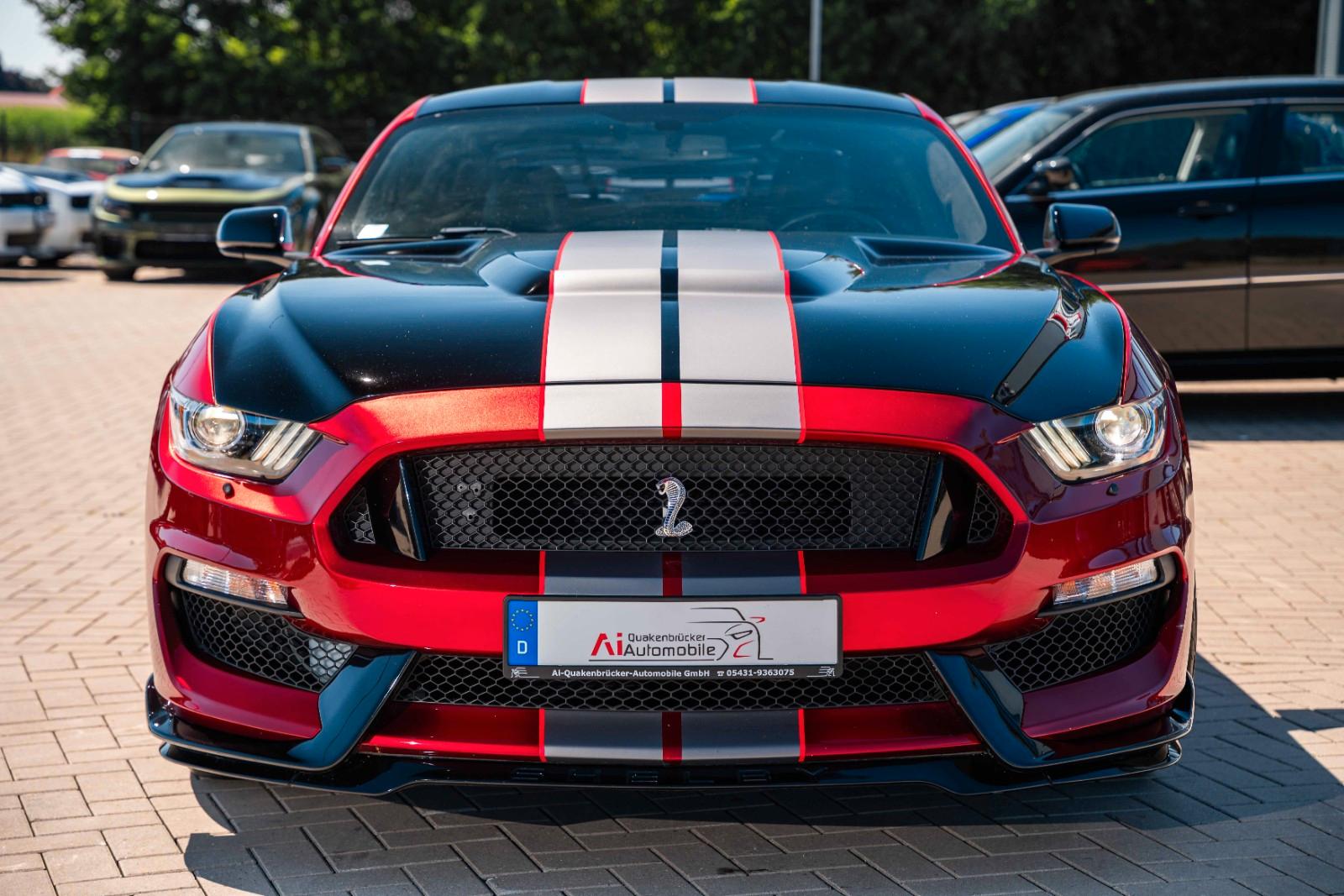 Ford Mustang GT 5,0 Gt 350 SHELBY PREMIUM VOLL