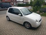 Volkswagen Lupo (TÜV neu) Limited Edition GTI-Optik Tieferg - Volkswagen Lupo GTI mit Benzin-Antrieb