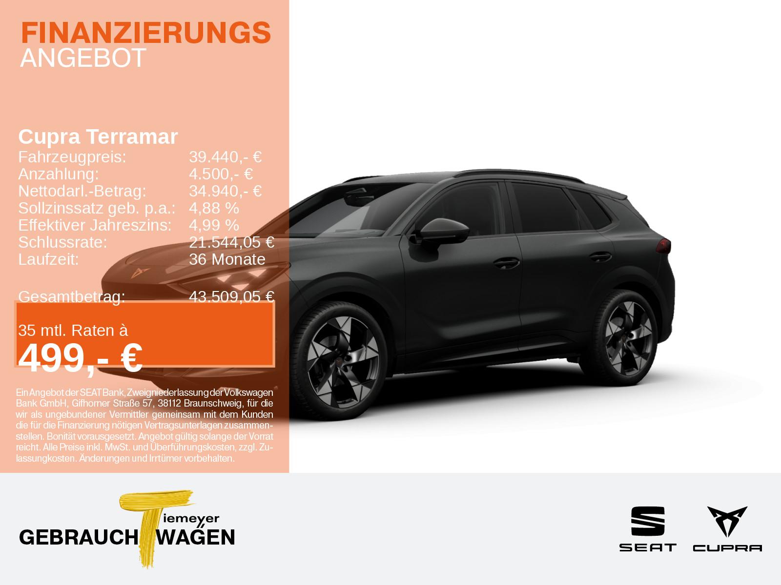 Cupra Terramar 1.5 eTSI DSG ACC HuD SITZHZ APP-CON DYN