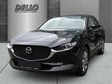 Mazda CX-30 Centre-Line HUD Navi LED ACC Apple CarPlay - Mazda CX-30 mit Benzin-Antrieb: Centre Line