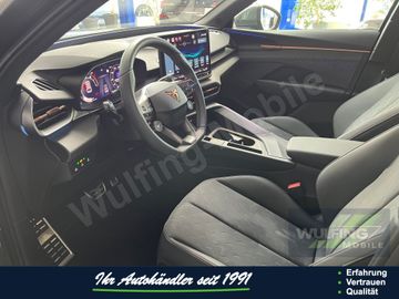 Cupra Terramar - 7