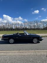 Alfa Romeo Spider 2.0 Pininfarina 115  |Note 2|Top Zustand - Alfa Romeo Spider Gebrauchtwagen in Hamburg