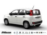 Fiat Panda Hybrid 1.0 GSE PANDINA KLIMA PDC - Fiat Panda: Pandina