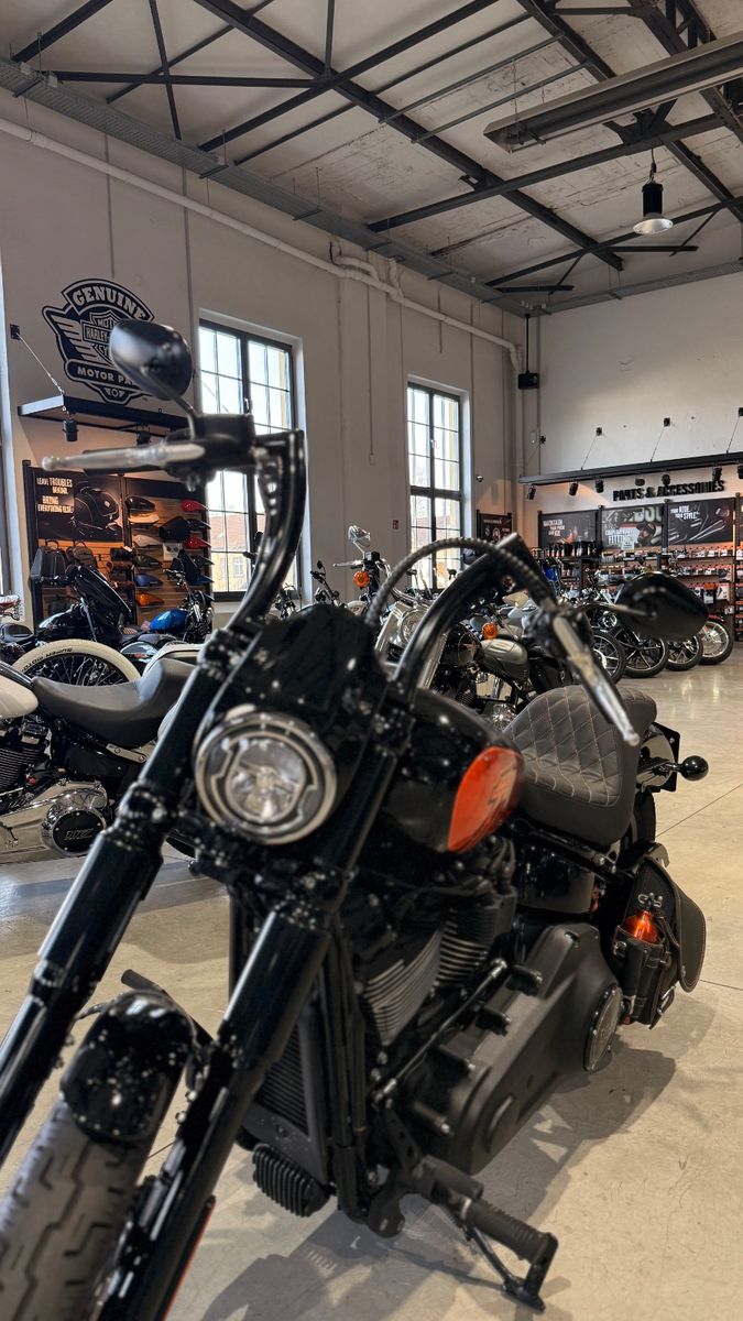Fahrzeugabbildung Harley-Davidson Street Bob Umbau / J&H