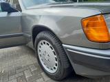 Mercedes-Benz 300 - Mercedes-Benz 300 mit Diesel-Antrieb: Limousine