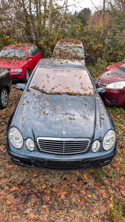 Mercedes-Benz E 220