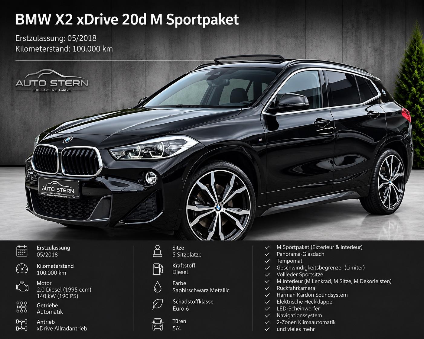 BMW X2 xDrive 20d M Sport PANO HK RCAM LEDER LED 20"