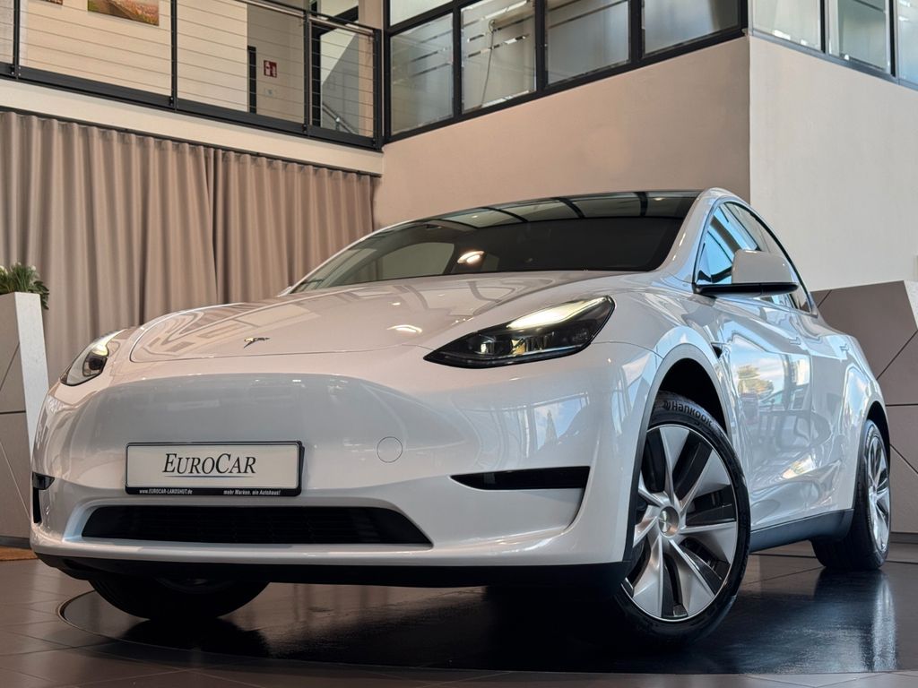 Image of Tesla Model Y