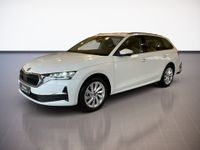 Skoda Octavia - Vorschau Bild 2