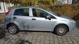 Fiat Punto 1.4 8V Dynamic  - Fiat Punto Gebrauchtwagen in München