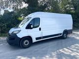 Fiat Ducato Maxi Grossr.-Kasten 35 140 L5H2 RS: 4035 - Fiat Ducato in Mainz