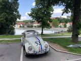 Volkswagen VW Käfer 1200er Export HERBIE - mit Benzin-Antrieb: Beige, Schiebedach, Cabrio