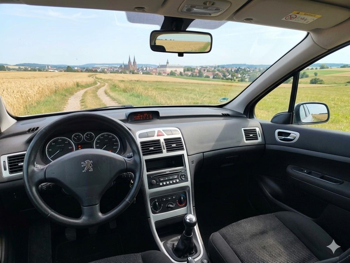 Peugeot 307 2007 — photo 8