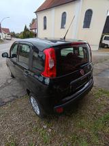 Fiat New Panda 1.2 8V EASY - Fiat New Panda Benziner Gebrauchtwagen
