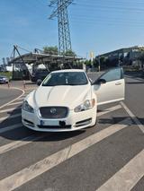 Jaguar XF 3.0 V6 Diesel S Premium Luxury Premium Luxury - Jaguar XF aus 2009: Luxury