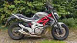 Suzuki Gladius  - SUZUKI GLADIUS