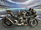 Kawasaki *Ninja H2* Akrapovic*H2R Winglets* - KAWASAKI NINJA H2