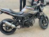 Suzuki SV650 X - makelloser Zustand + viele Extras  - SUZUKI SV650X