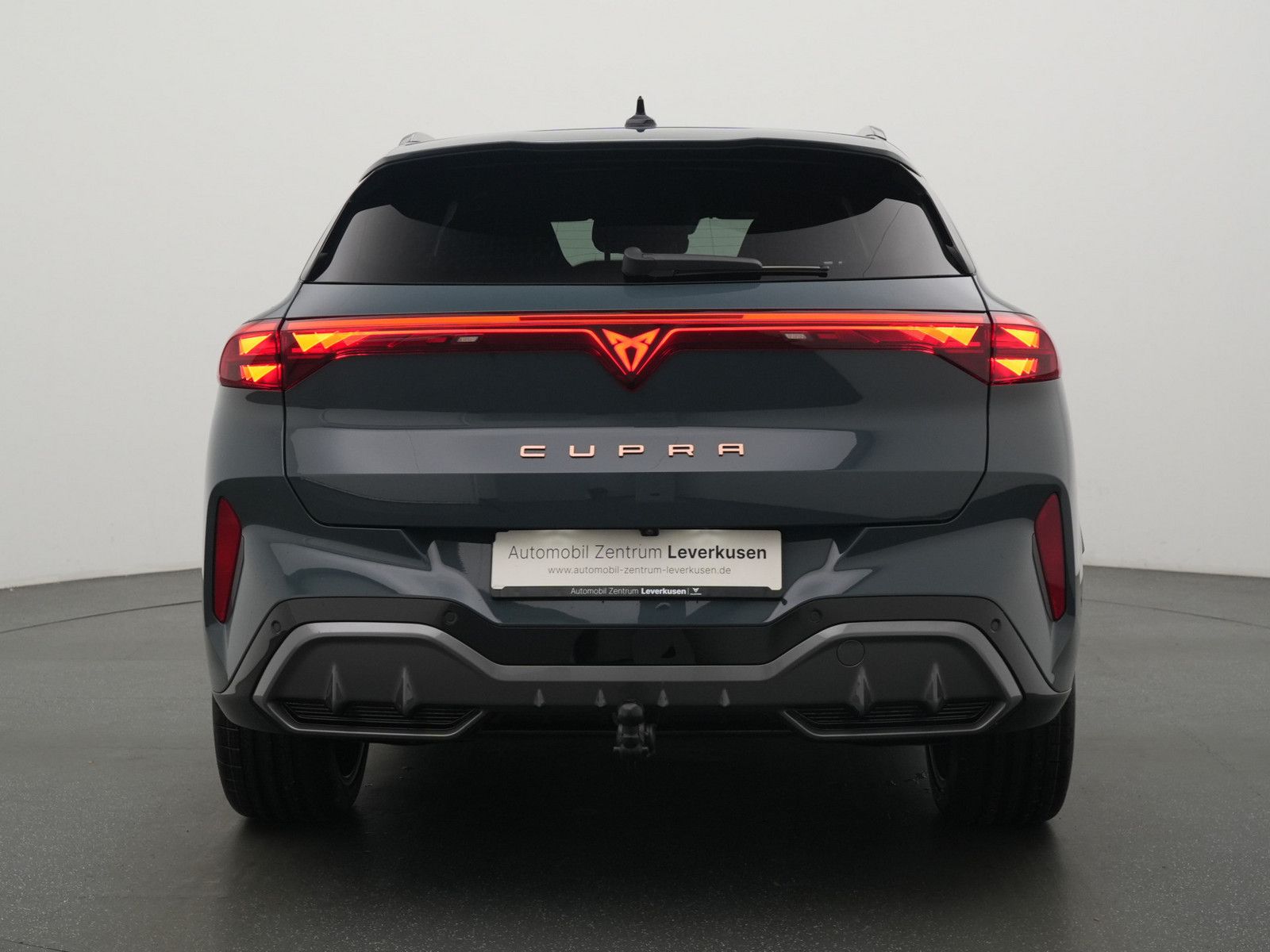 Cupra Terramar - Bild 4