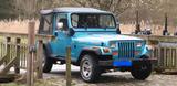 Jeep yj 2,5ltr, EZ 1997, 138700km - Jeep Wrangler: Yj