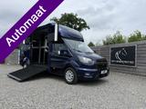 Ford TRANSIT | HORSETRUCK | STX | STALLION 3XL | 2023