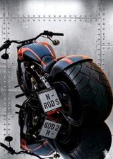 Harley-Davidson Nightrod Special 300 - 300