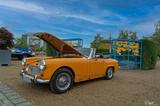 MG Midget Leyland - MG Midget Gebrauchtwagen