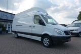 Mercedes-Benz Sprinter 316 CDI MAXI H+L H3*Klima*STHZ*PDC - Mercedes-Benz Sprinter in Oberhausen