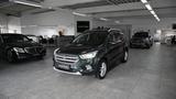 Ford Kuga Titanium *ALLRAD*NAVI*TOP - Ford: Grün