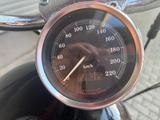 Harley-Davidson Sportster XL1200 Custom - nur 28035 km - HARLEY-DAVIDSON 2001 SPORTSTER