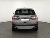 Ford Kuga 2.0 EcoBlue 4x4 Titanium LED Navi Head-Up - Ford Kuga in Halle