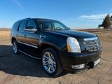 Cadillac Escalade 6.2 V8 Sport Luxury Autom. Sport Luxury - Cadillac mit Benzin-Antrieb: Geländewagen, Automatik