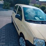 Fiat Pander BJ 2009 - Fiat Panda in Hamm