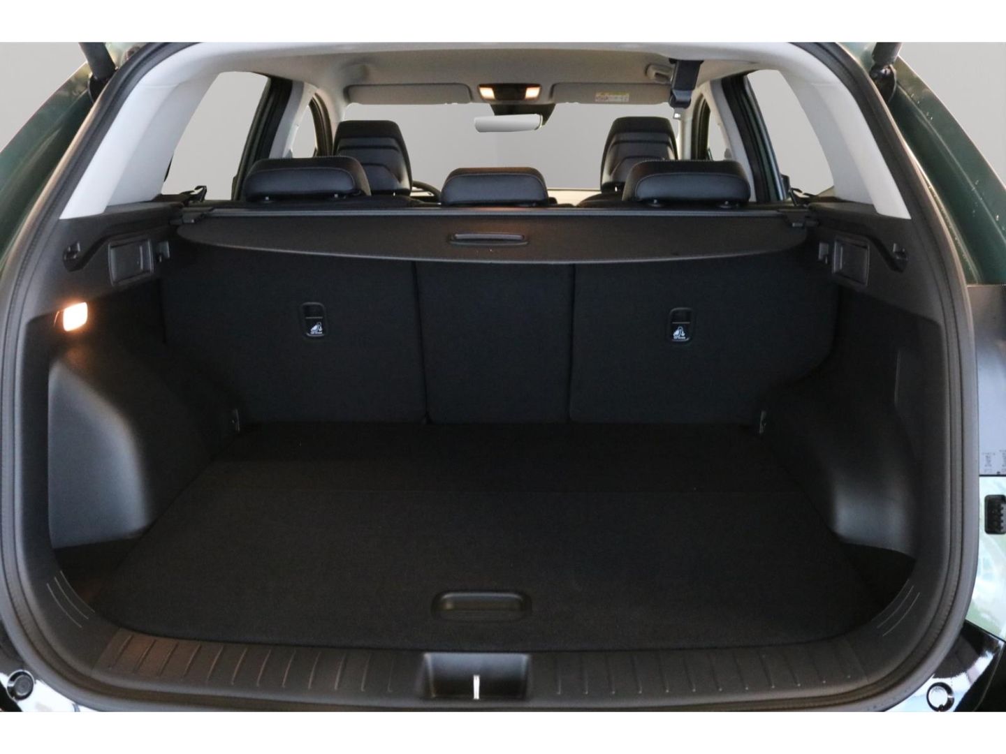Fahrzeugabbildung Kia Sportage Plug&Ride Plug-in Hybrid 4WD 1.6 T-GDI