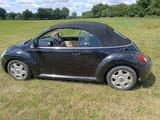 Volkswagen VW Beetle Cabrio, 1,9 TDI - Volkswagen Beetle aus 2008: Cabrio