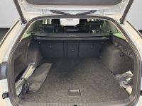 Skoda Octavia - Vorschau Bild 14
