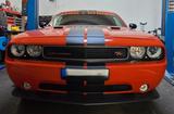 Andere Dodge Challenger R/T 5.7i V8 HEMI - Andere: Sportwagen
