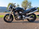 Honda CB 900 F Hornet SC48 EZ 04/2003 59.544 km VB - Offers