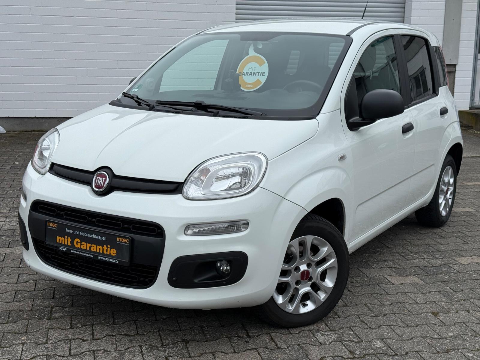 Fiat Panda MORE*PDC*ALU*ALLWTTR